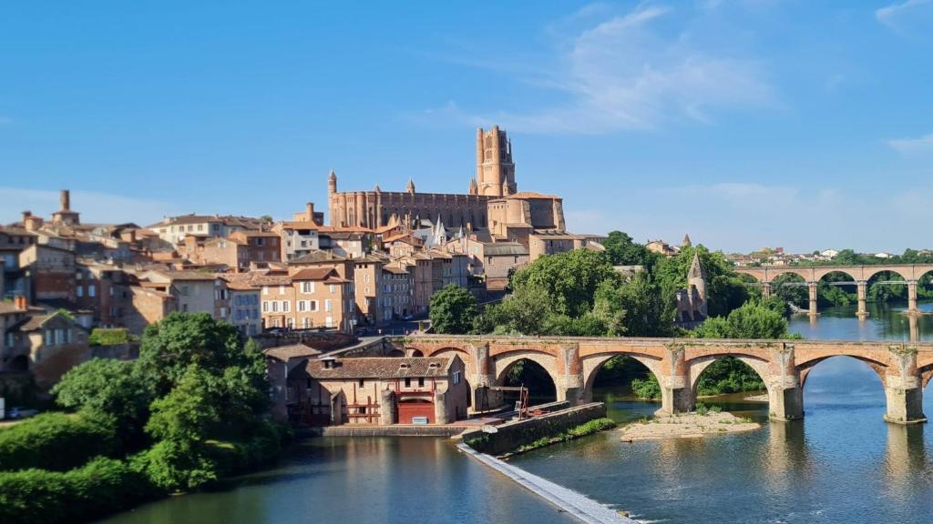 a bridge over a river with a city in the background at Maison Colonel Teyssier in Albi