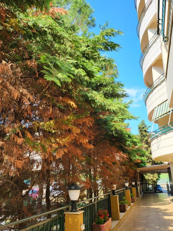 Ejstel Residence Apartments - Imazhi 2