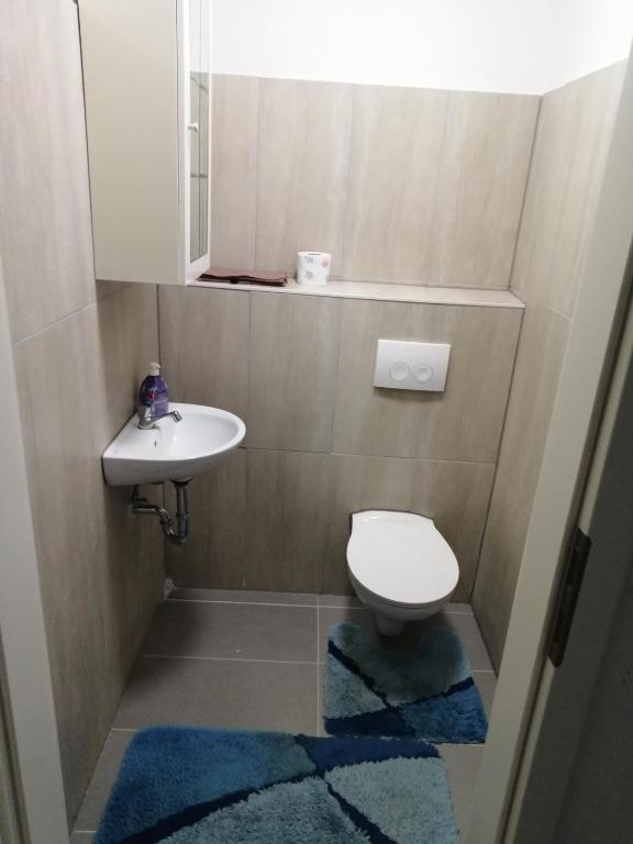 Koupelna v ubytování Ferienhaus Zum Heilbrunnen