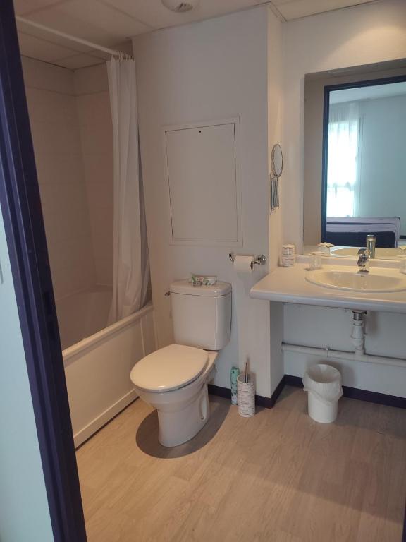 une salle de bain avec toilettes et lavabo dans l'établissement Résidence la closeraie, à Lourdes