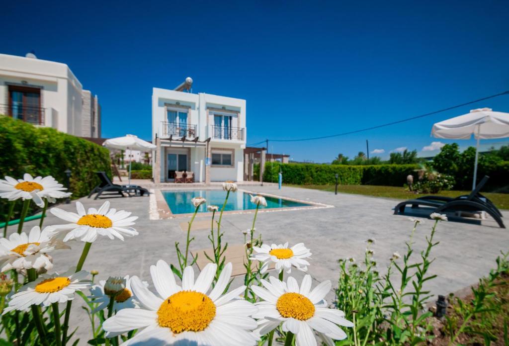 Zahrada ubytování Petra Villas