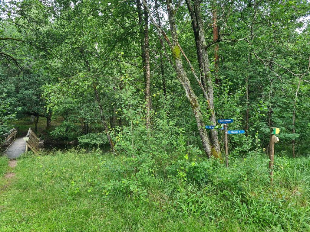 Zahrada ubytování Stuga i naturen
