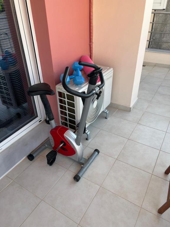 Fitness centrum a/nebo fitness zařízení v ubytování Sissi Olive home
