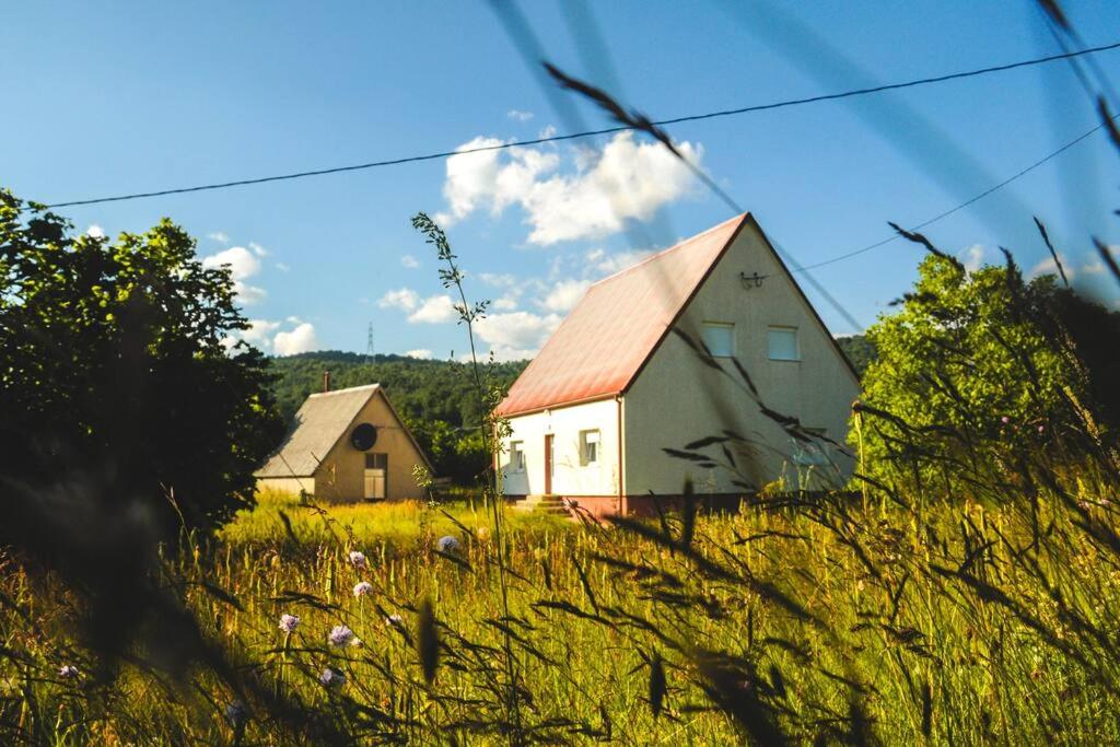 Eine Scheune und ein Haus auf einem Grasfeld in der Unterkunft Rent a house Duzi - Savnik in Šavnik