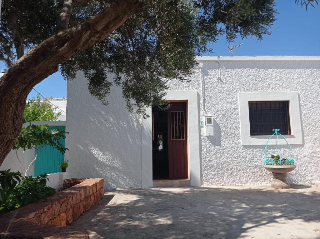 un edificio blanco con una puerta marrón y un árbol en Villa Garrido, en El Pozo de los Frailes