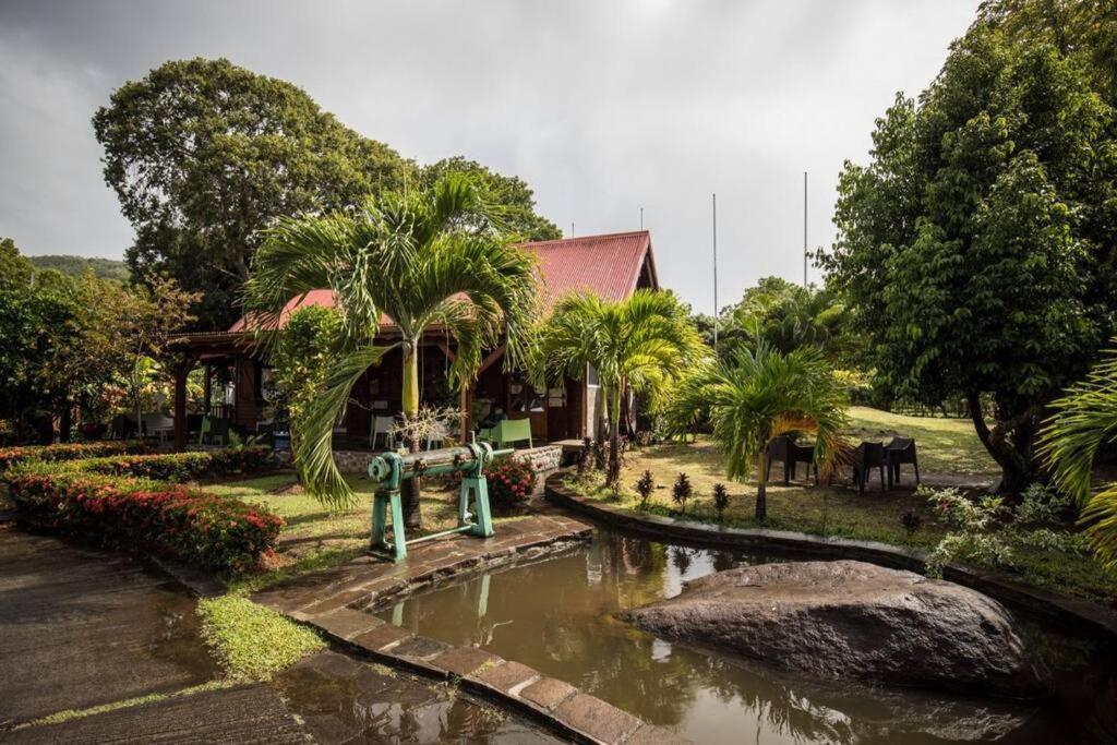 una casa con un estanque frente a un edificio en Cocon Tropical en Vieux-Habitants