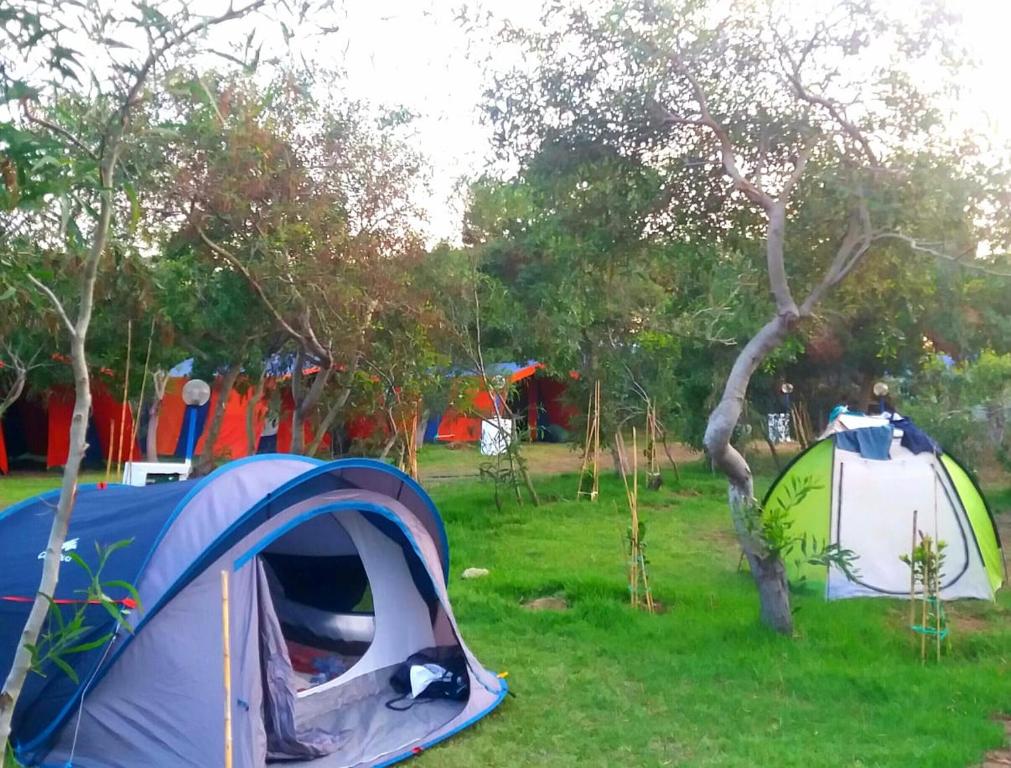 Zahrada ubytování Camping Nature & Mer Tahadart - Tentes & Caravans