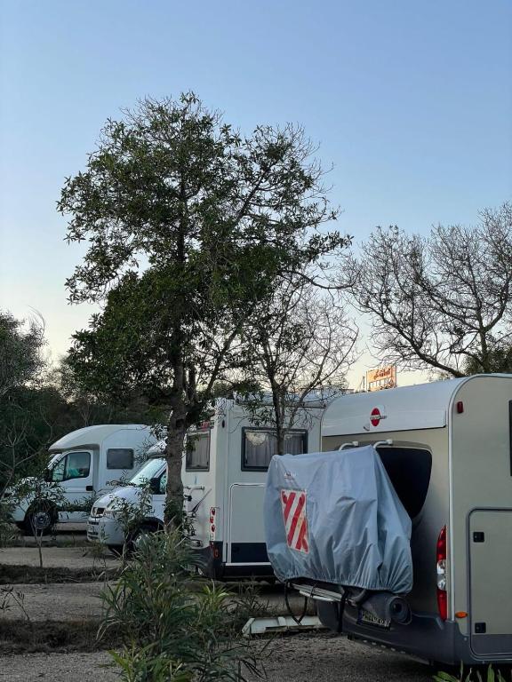 Fotografie z fotogalerie ubytování Camping Nature & Mer Tahadart - Tentes & Caravans v destinaci Douar Chrif