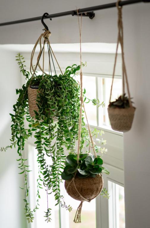 Hotel Arcus Garden - Resim 11