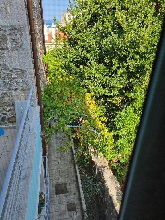 an overhead view of a stairway with trees and bushes at Οικοδέσποινα in Mytilini