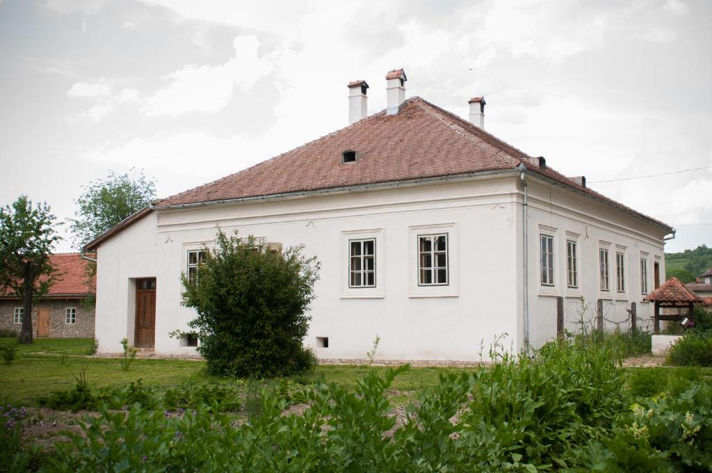 an old white house with a brown roof at Transylvania Guesthouses in Cincşor