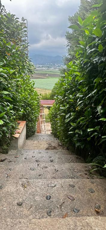 Fotografie z fotogalerie ubytování Villa Blanca Constanza v destinaci Constanza