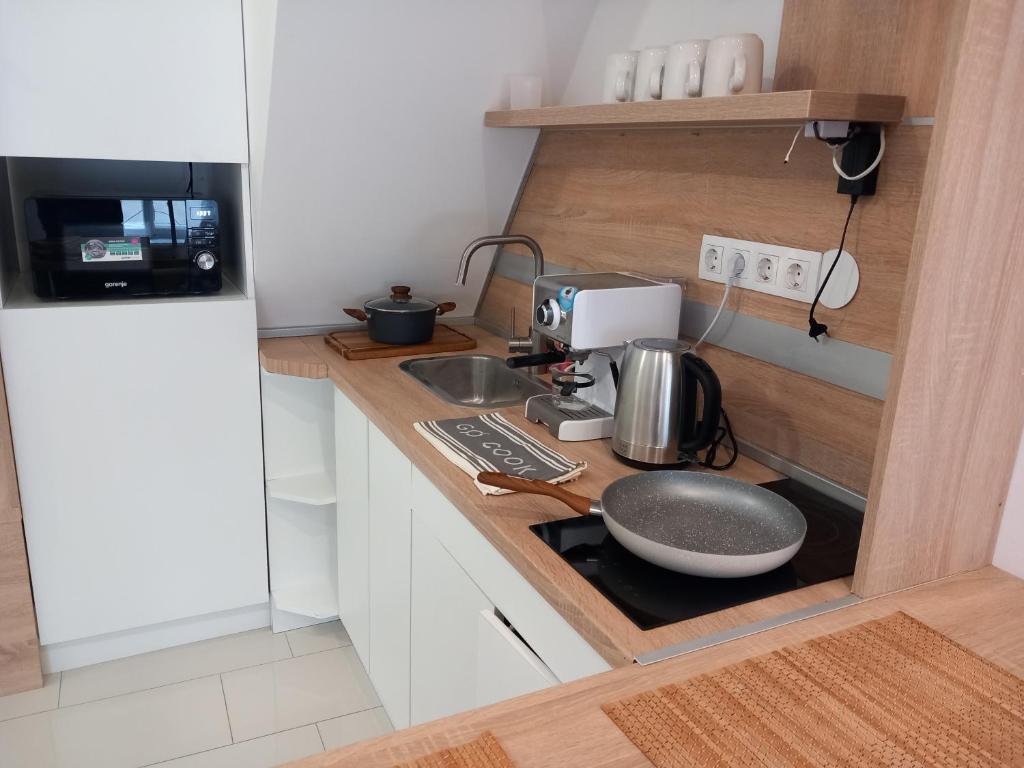 Kuchyň nebo kuchyňský kout v ubytování Korvin Plus Apartman