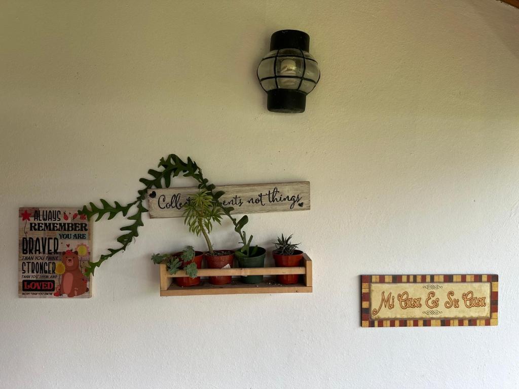Fotografie z fotogalerie ubytování Villa Blanca Constanza v destinaci Constanza