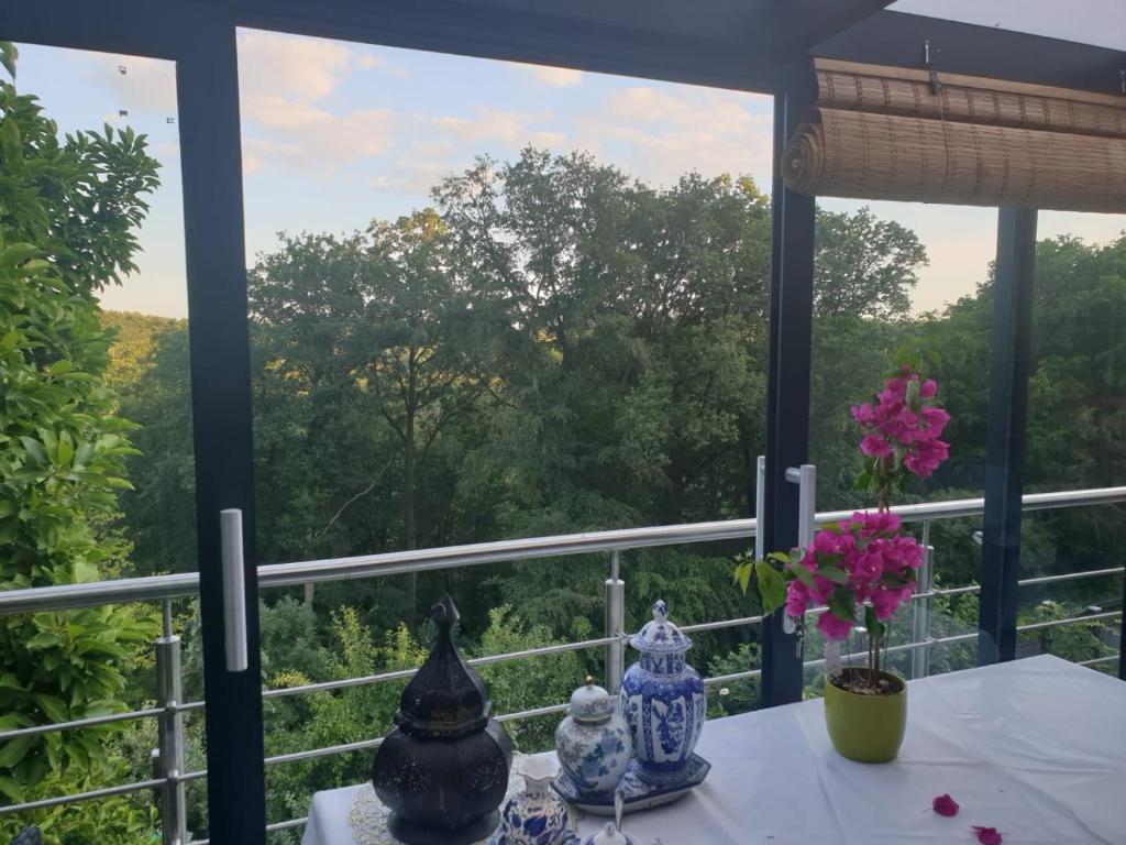 stół z wazami na nim z widokiem w obiekcie Cozy room with a beautiful garden view w mieście Baunatal