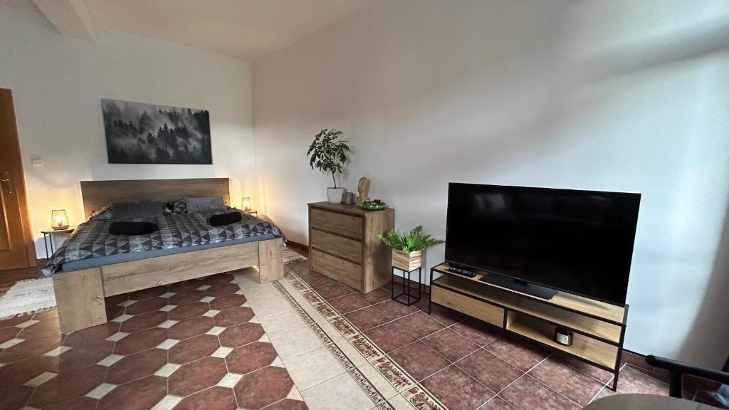 TV a/nebo společenská místnost v ubytování Apartmán Smrk