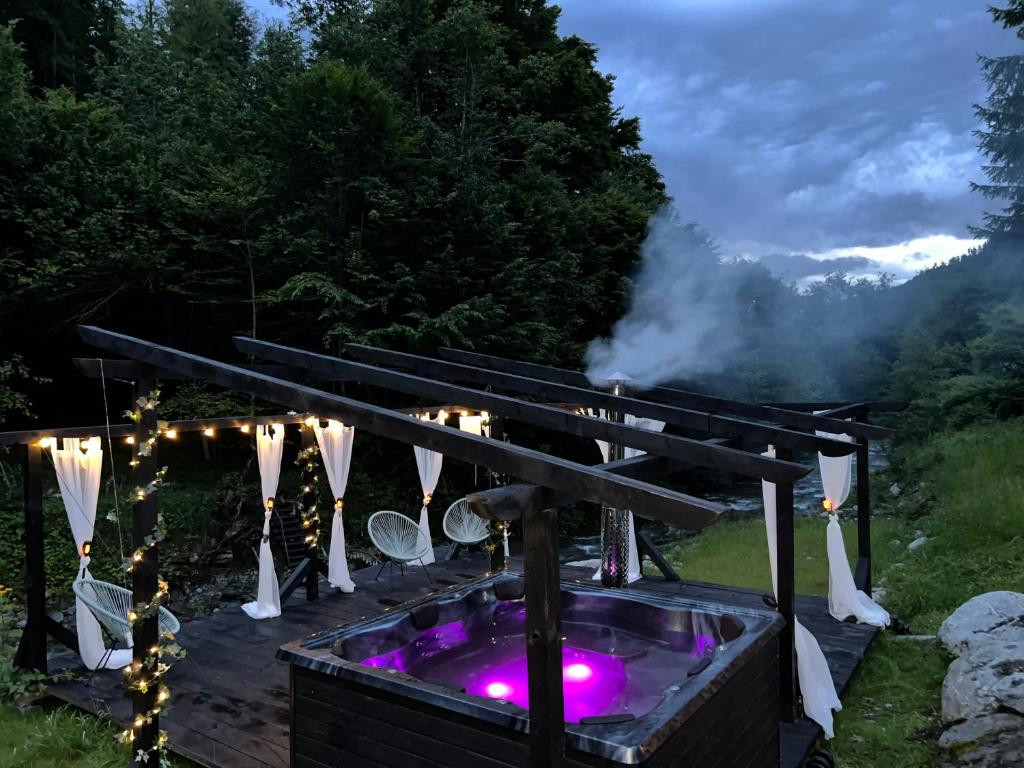 a hot tub in a backyard with lights at Pensiunea Flora in Cârțișoara