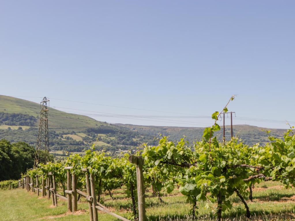 Fotografie z fotogalerie ubytování Vine Cottage v destinaci Abergavenny