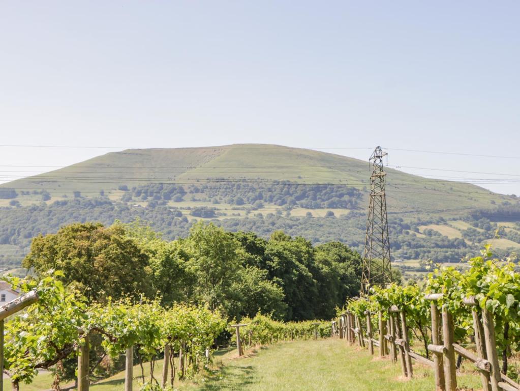 Fotografie z fotogalerie ubytování Vine Cottage v destinaci Abergavenny