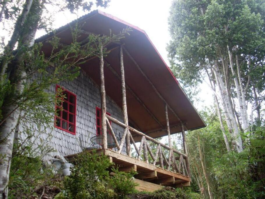 a house with a red window in the woods at Chiloe, Cabaña la Pincoya in Queilén