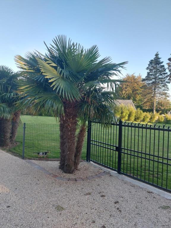 Vonkajšia záhrada v ubytovaní Le paradis bleu