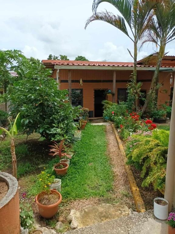 Apartamento Los Delfines