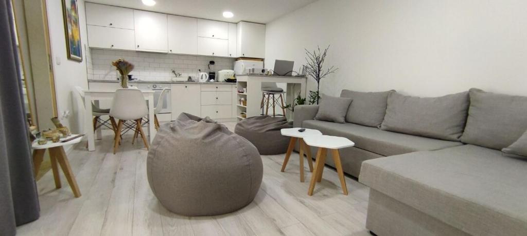 Gallery image of EXIT Oasis 2022 Scandinavian Design + Backyard in Pasuljište
