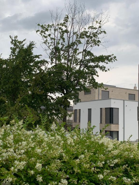 a white building behind some trees and white flowers at Mosaikhaus in Würselen