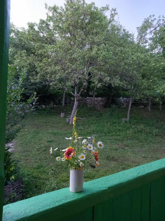 Zahrada ubytování Guest House Guliada