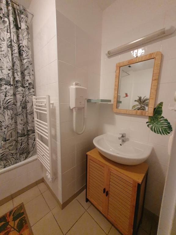 a bathroom with a sink and a mirror at L EVASION in Cuxac-Cabardès