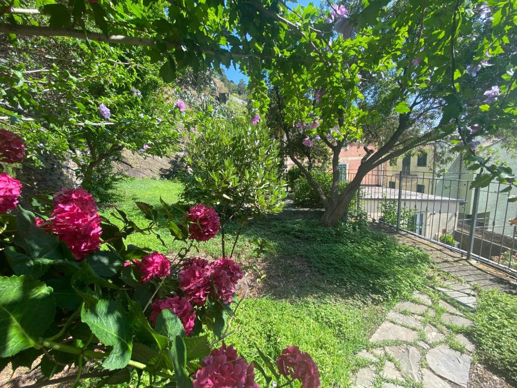 Jardín al aire libre en Pensione Sorriso