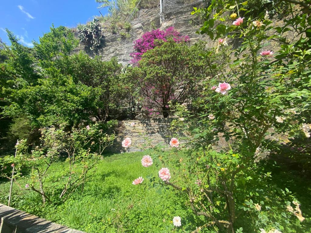 Paisaje cerca de este hotel