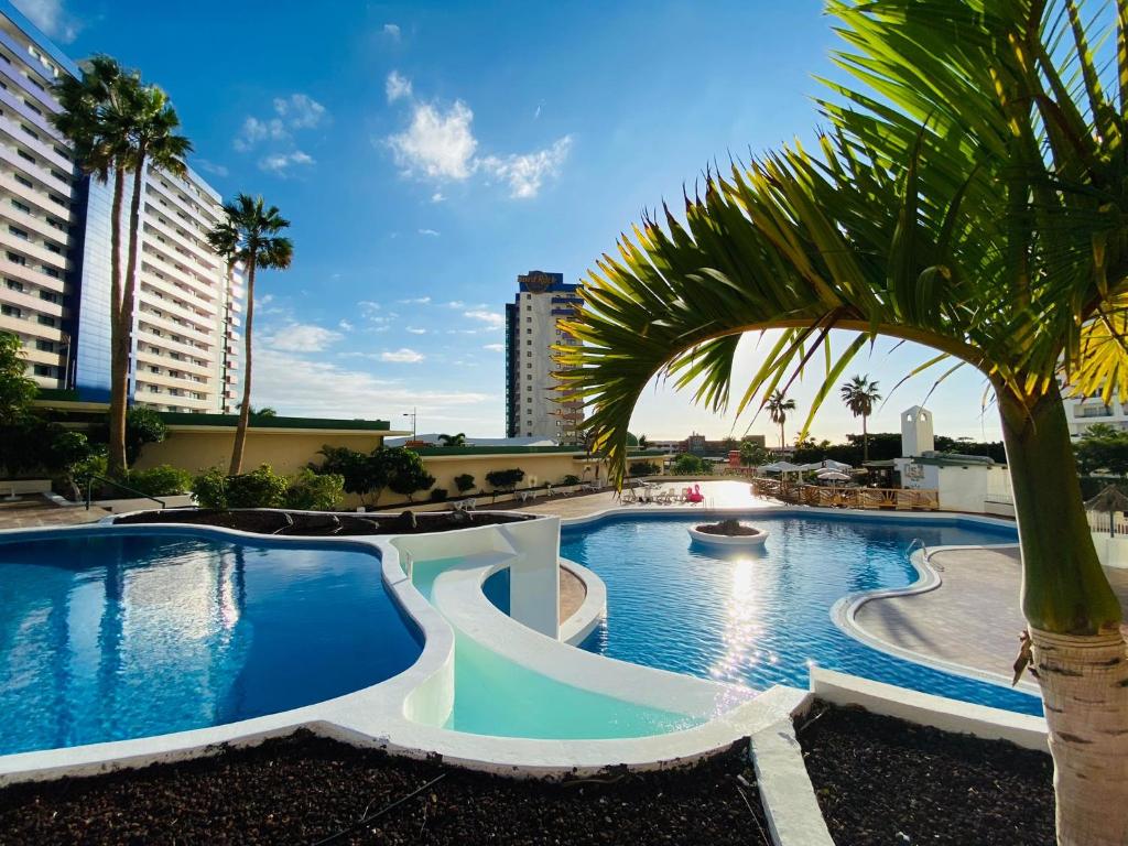 a large swimming pool with a palm tree in the foreground at Gold Sunset in Adeje