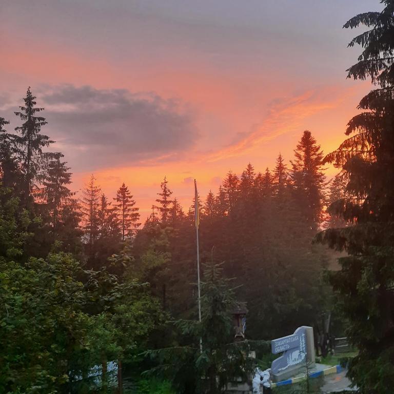 Příroda nedaleko hotelu