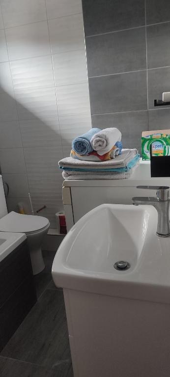 Koupelna v ubytování Apartmán Radim