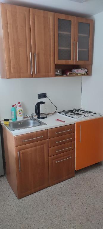 Kuchyň nebo kuchyňský kout v ubytování Apartmán Radim