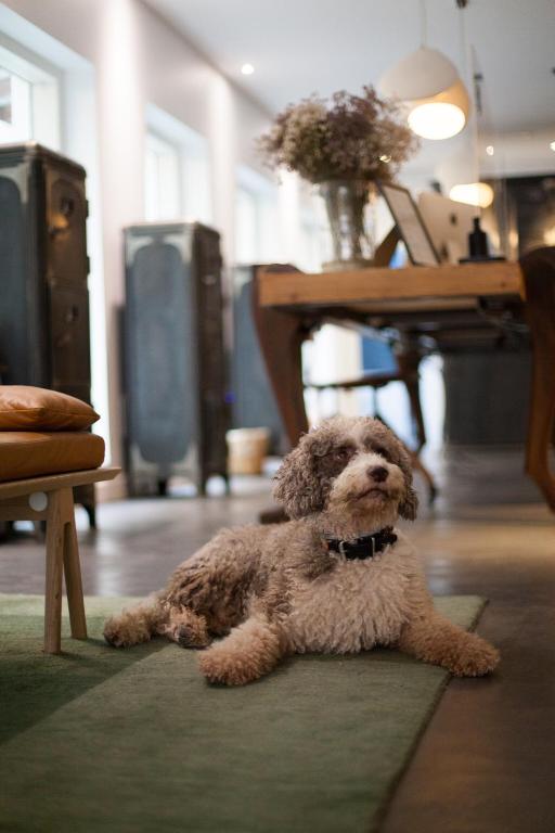 7 Islas Hotel - Resim 25