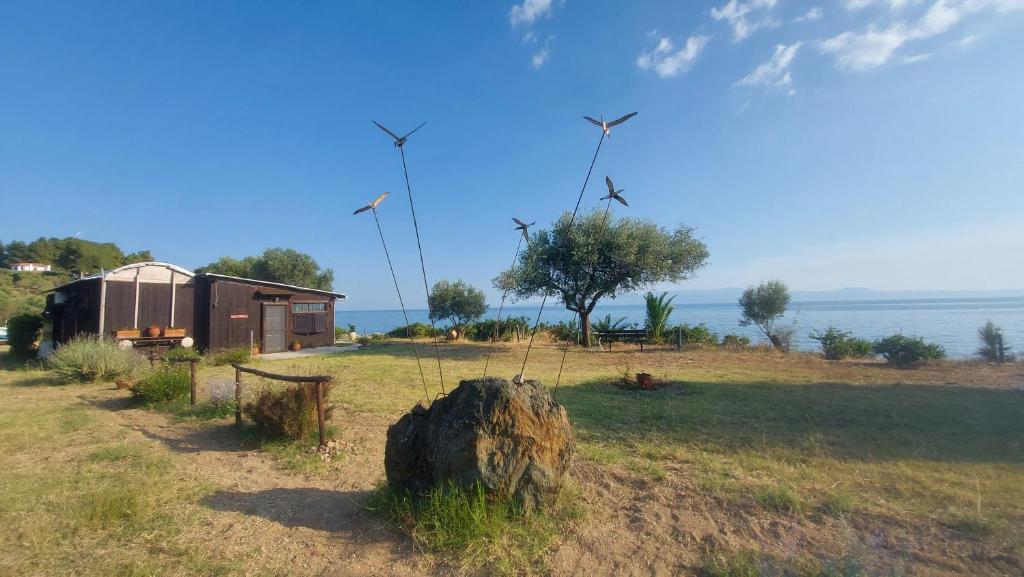 a field with a building and windmills in the background at Athos SEAgull wagon in Ouranoupoli