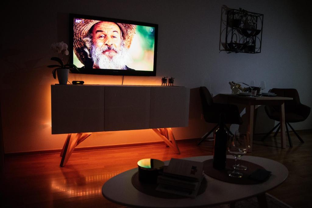 TV a/nebo společenská místnost v ubytování Zagreb Borovje New Free Garage