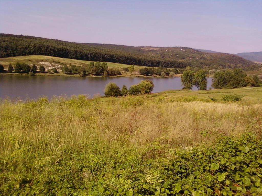 Príroda v okolí dovolenkového domu