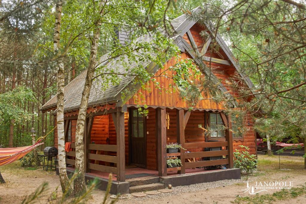 eine Blockhütte im Wald mit einer Hängematte in der Unterkunft Siedlisko Janopole in Janopole