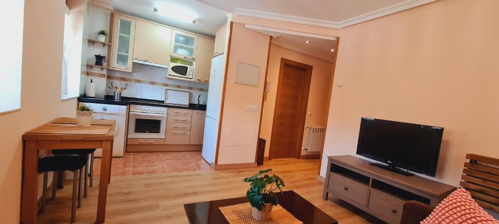 Apartamentos El Pigazu - 1