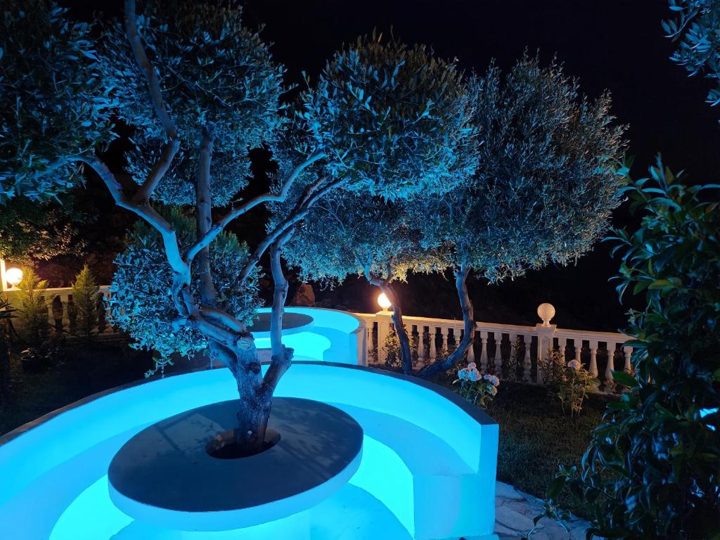 Zahrada ubytování Festim Villa Hotel