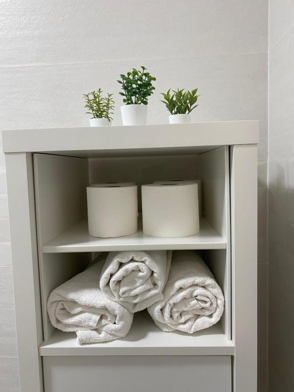 a shelf with towels and plants in a bathroom at Apartamento ZAPILLO IRIA 1 in Almería