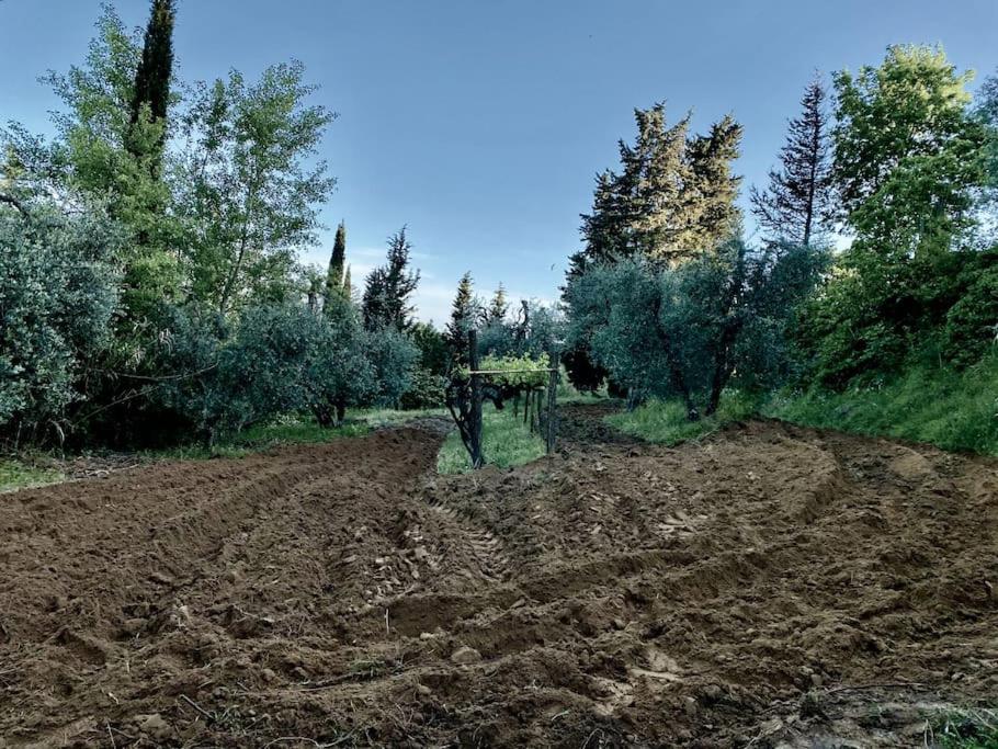Zahrada ubytování Podere San Giorgio