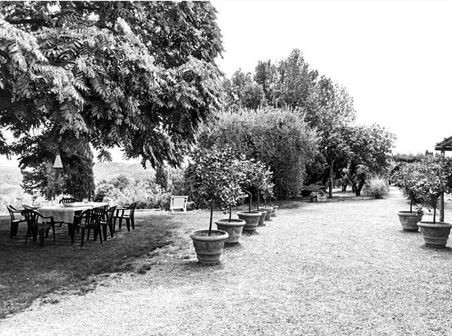 Zahrada ubytování Podere San Giorgio