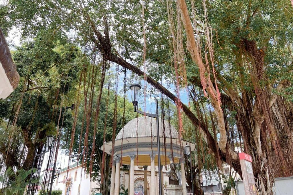 Fotografie z fotogalerie ubytování Maison Boheme - La Manzana Panama v destinaci Panamá