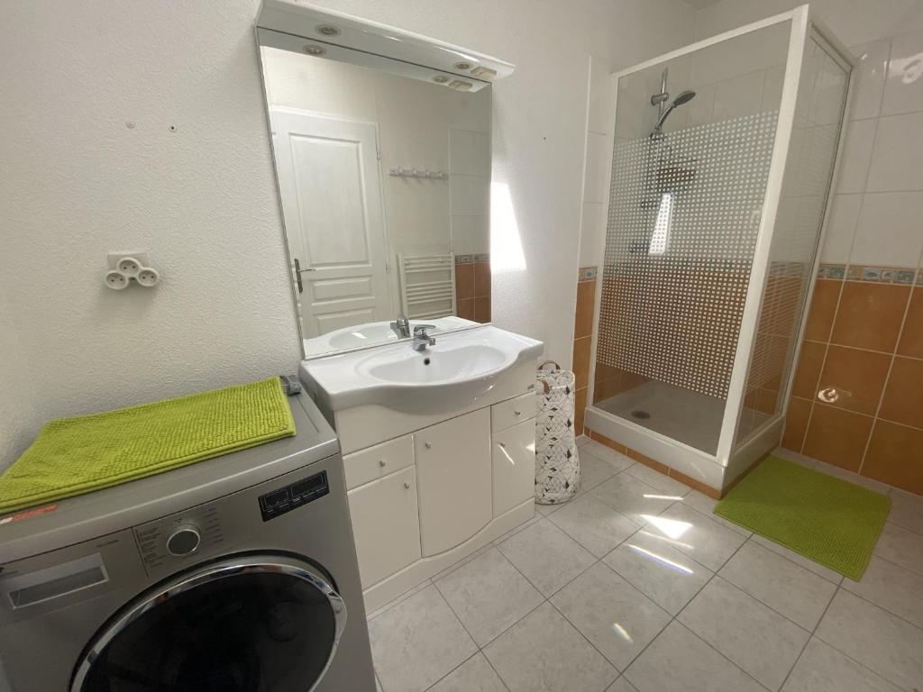 a bathroom with a washing machine and a sink at Maison Fouras, 4 pièces, 6 personnes - FR-1-709-40 in Fouras