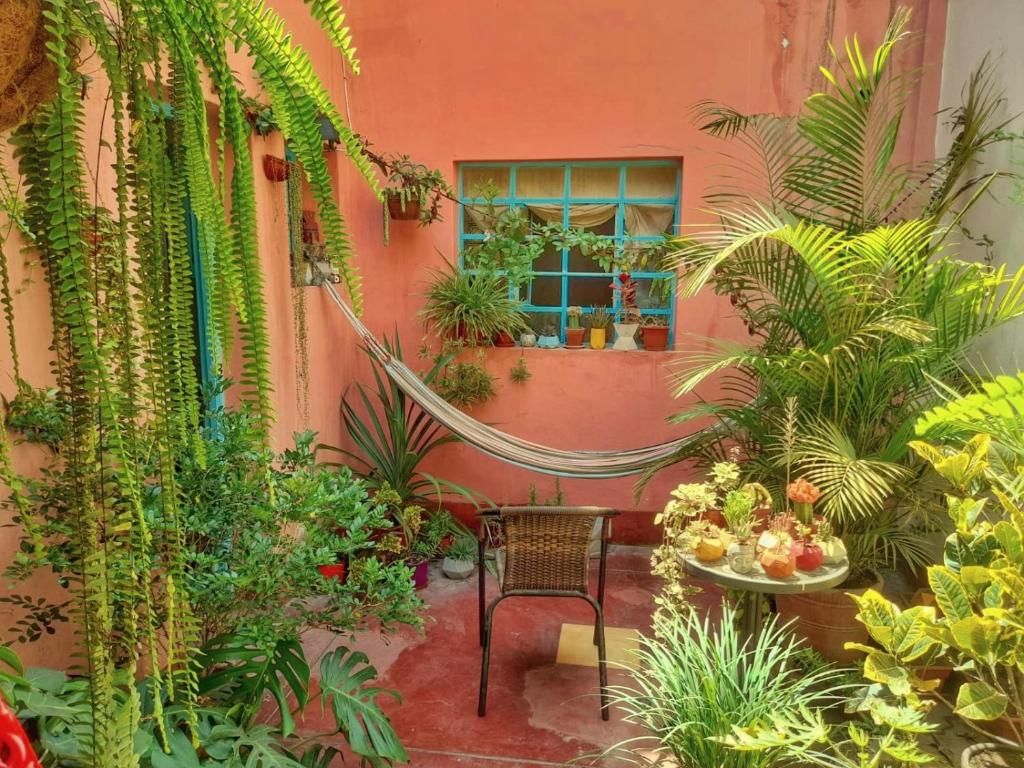 een tuin met een hangmat in het midden van een gebouw bij La Quinta in Lima