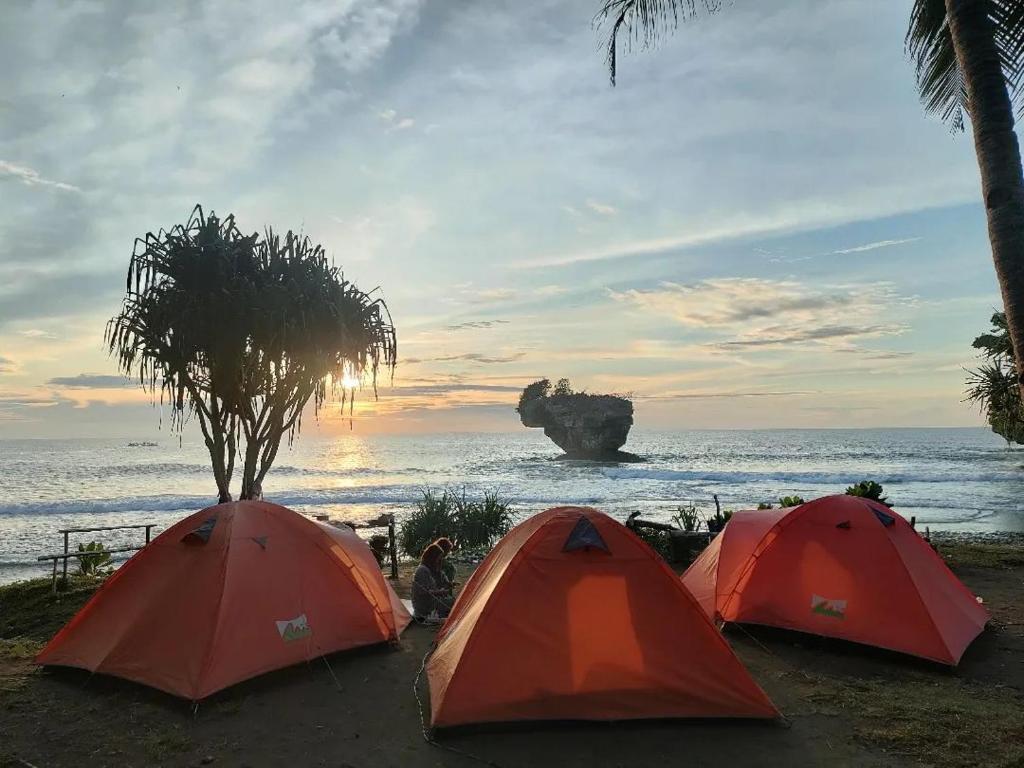パンガンダランにあるfardan Tenda camping madasariの海の近くのビーチに座る3つのテント